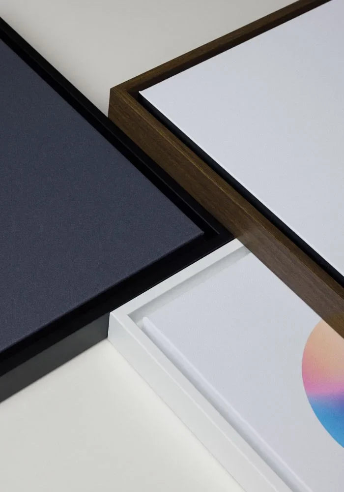 Framed Canvas Prints